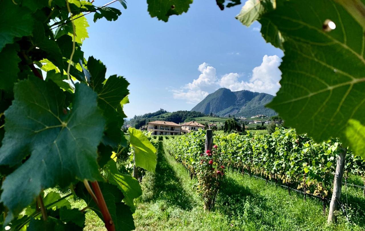 Apartament Weingut Gasshof Appiano Sulla Strada Del Vino Zewnętrze zdjęcie