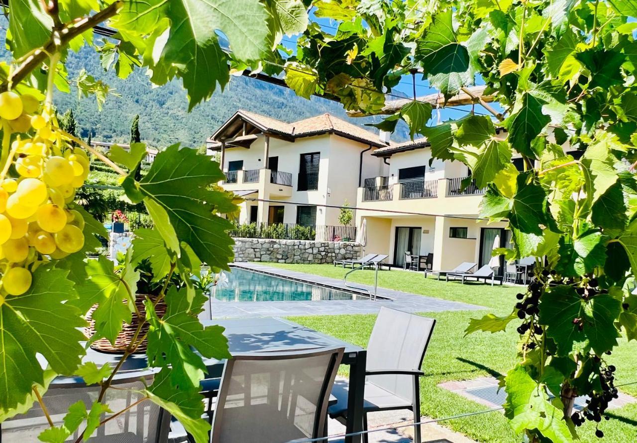Apartament Weingut Gasshof Appiano Sulla Strada Del Vino Zewnętrze zdjęcie